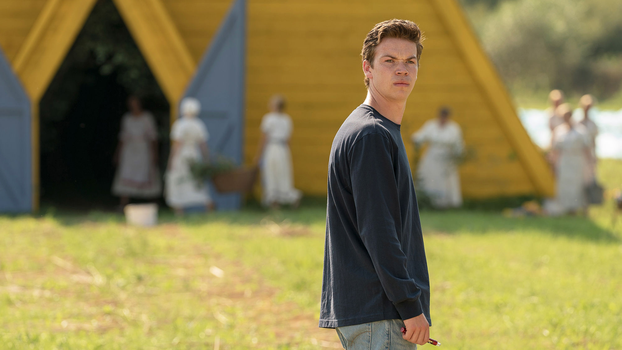 Will Poulter in Midsommar