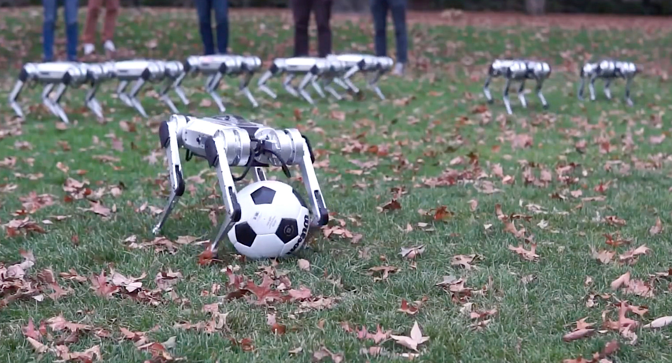 MIT Mini Cheetah Robots play soccer
