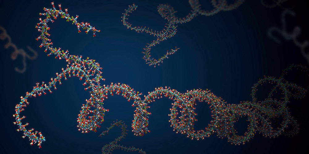 Art depicting a strand of RNA