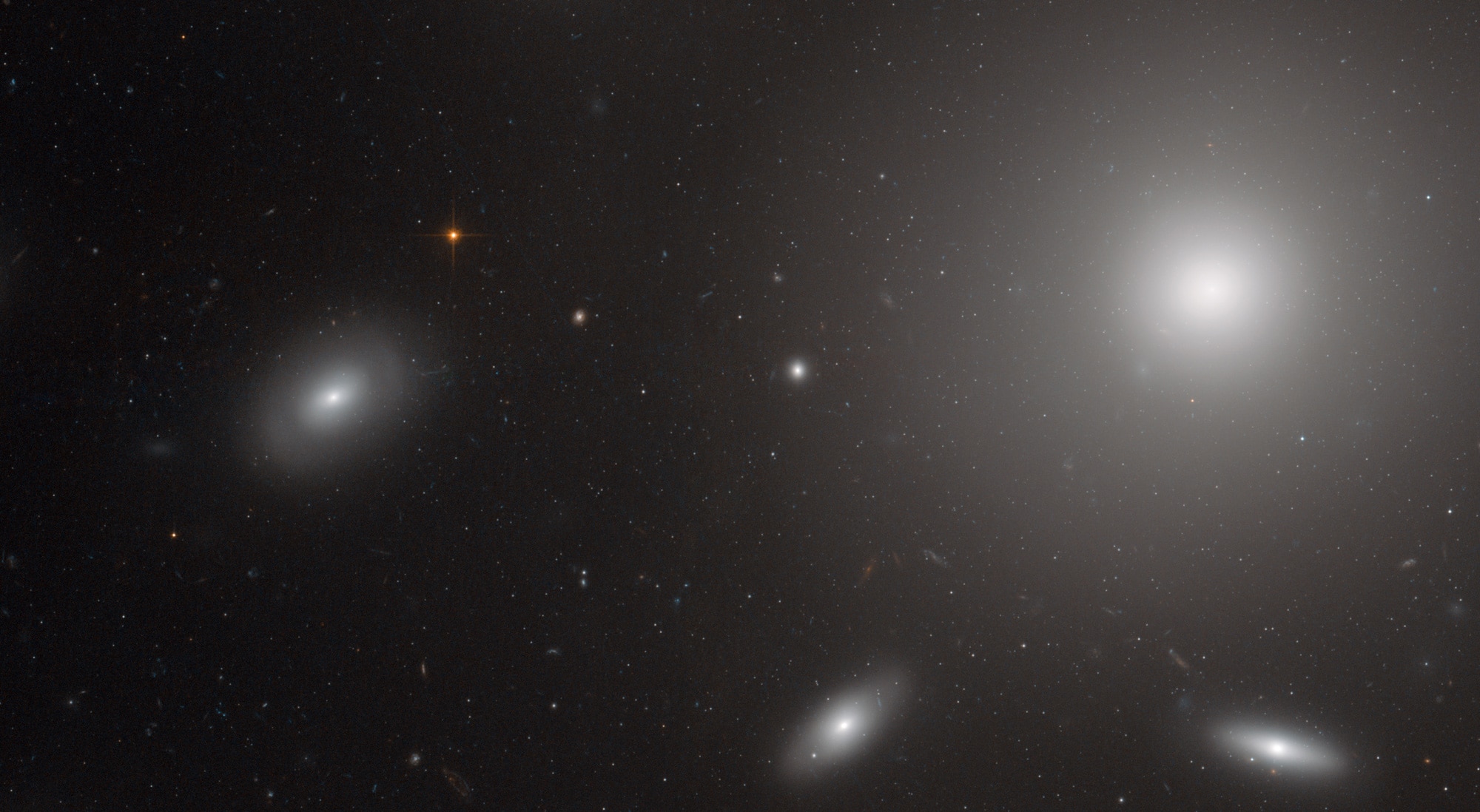 NGC 6874, a huge elliptical galaxy, surrounded by Coma Cluster galaxies, and tens of thousands of globular clusters. Credit: ESA/Hubble & NASA 