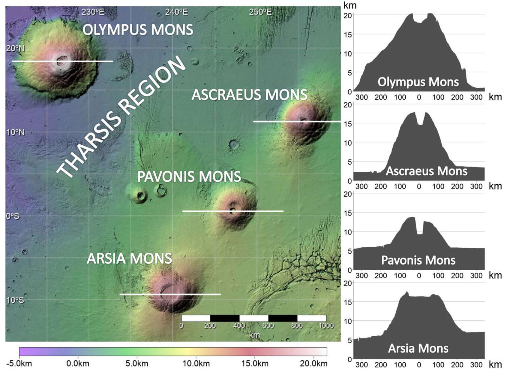 Topography of the four huge volcanoes in the Tharsis region on Mars. All are hundreds of kilometers wide and have calderas 50 – 100 km wide. Arsia Mons is the farthest south, and is about 16 km high at the caldera. Credit: Hernández-Bernal et al.