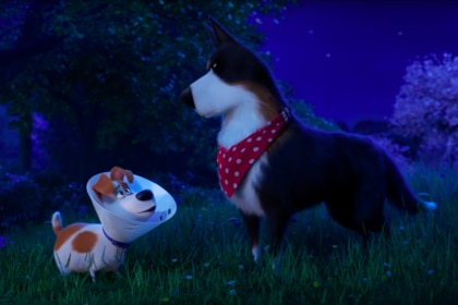 The Secret Life Of Pets 2 - The Rooster Trailer