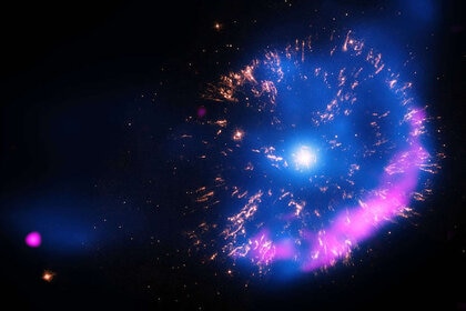 white dwarf supernova