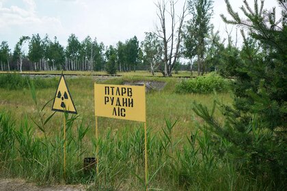 chernobyl 2