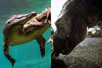 Crocodile; A dinosaur from Jurassic Park (1993)