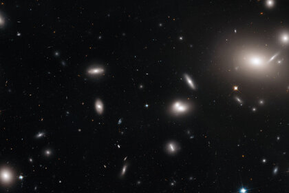 The inner part of the massive Coma galaxy cluster, where thousands of galaxies swarm. Credit: NASA, ESA, J. Mack (STScI), and J. Madrid (Australian Telescope National Facility)