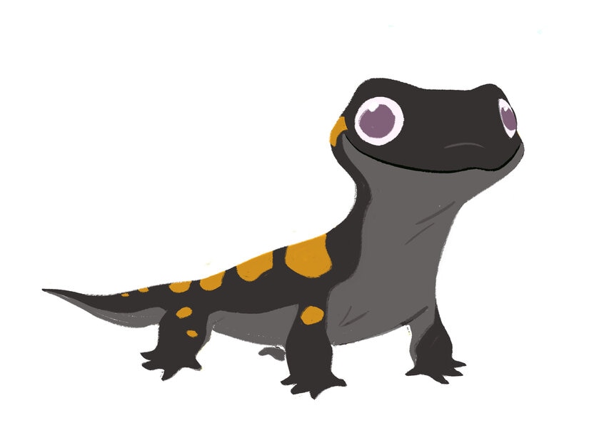 A hand drawing of Bruni the Salamander