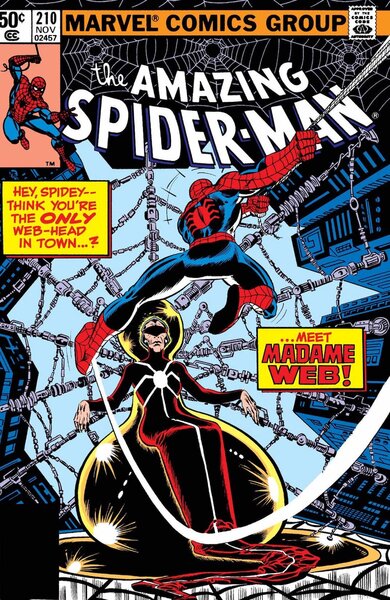 Amazing Spider-Man #210 Comic Cover CX
