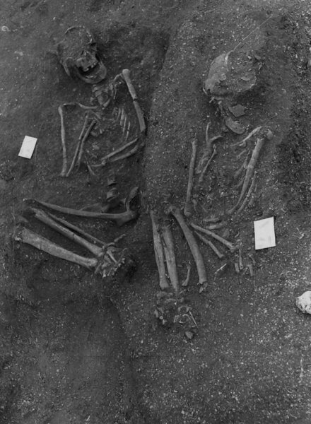 Liz Stone Age Mummies