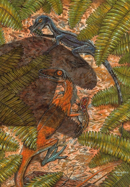 Pterosaur ancestor Faxinalipterus minimus