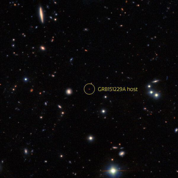 The host galaxy of the short gamma-ray burst GRB 151229A