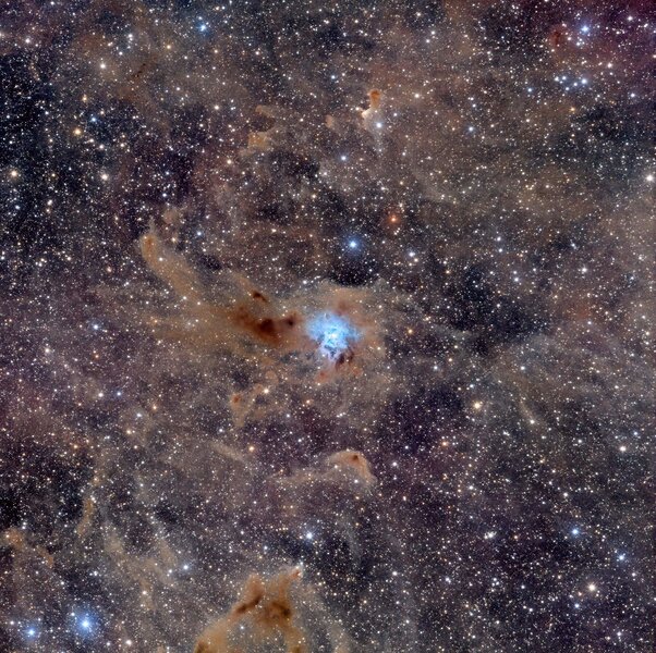 The Iris Nebula is a dust cloud about 1,180 light years away, reflecting the light from a nearby blue star. Credit: Adam Block/Steward Observatory/University of Arizona
