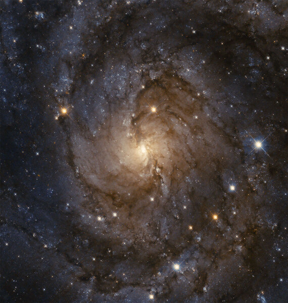 The face-on spiral IC 342, which would be one of the most glorious objects in the sky if it weren’t hidden behind the dense material in our own galaxy. Credit: NASA / ESA / Paul Sell / Judy Schmidt