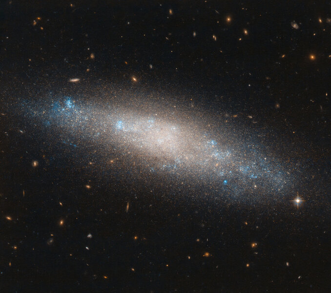 The relatively nearby galaxy NGC 4455, observed by Hubble specifically to find its distance. Credit: ESA/Hubble & NASA, I. Karachentsev et al.