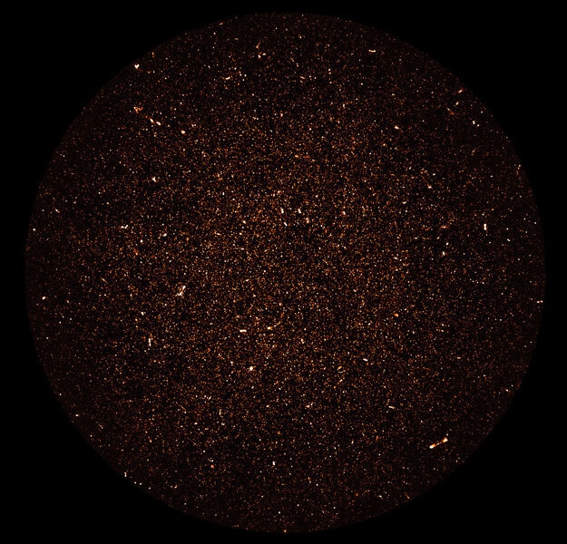 130 hours of MeerKAT observations in radio wavelengths yielded an image of tens of thousands of normal galaxies at distances of billion of light years. Credit: SARAO; NRAO/AUI/NSF