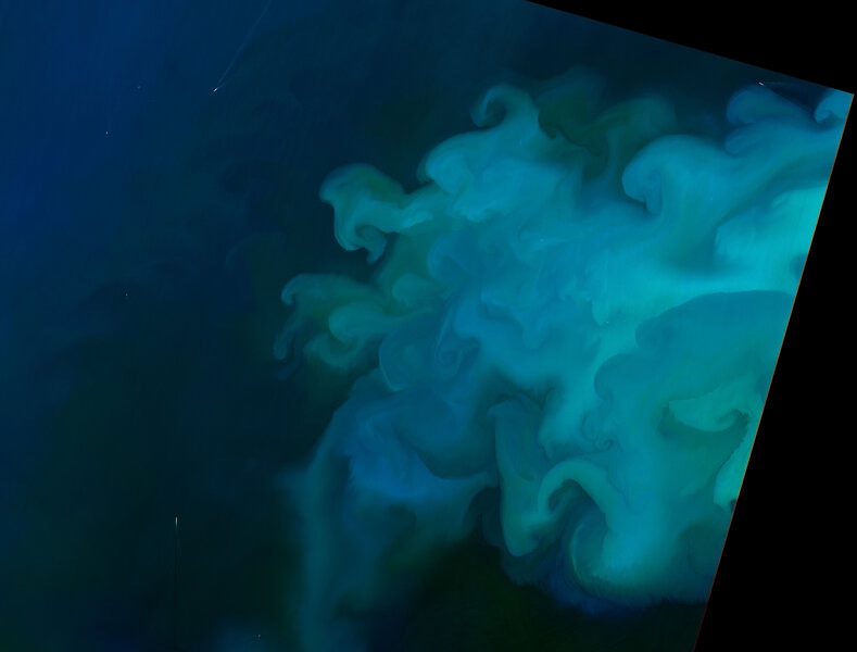 Phytoplankton blooms in the North Sea, seen by the Landsat-8 satellite in May 2018. Credit: NASA Earth Observatory / Joshua Stevens / USGS / LANCE/EOSDIS Rapid Response