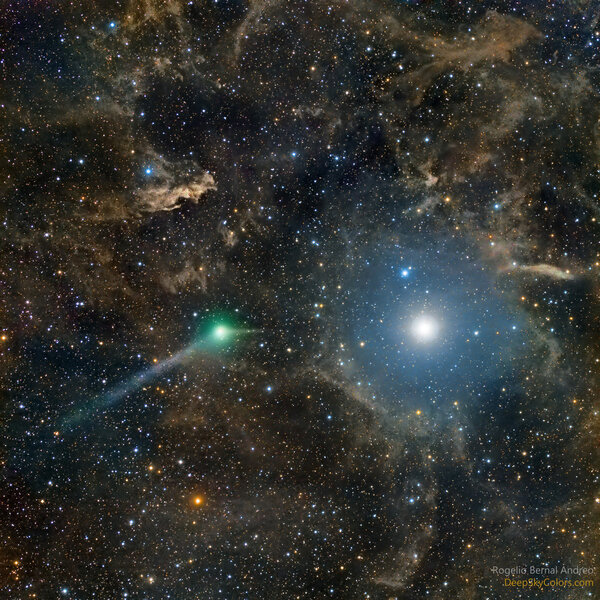 Comet C/2014 Q2 Lovejoy near the north celestial pole on May 29, 2015, with Polaris glowing nearby. Credit: Rogelio Bernal Andreo