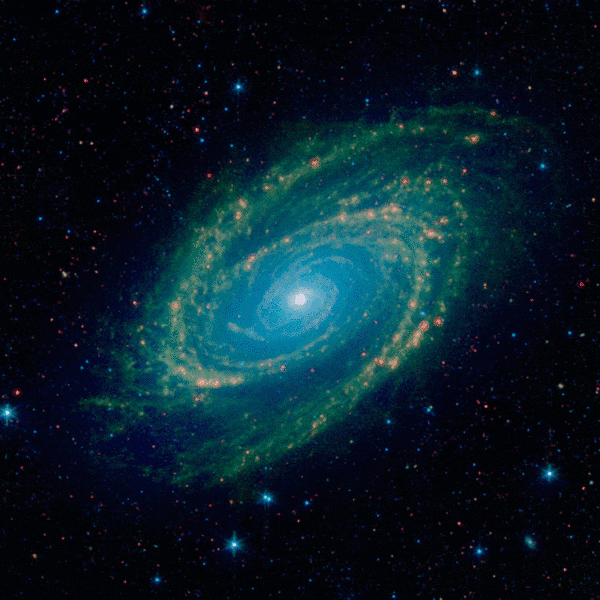 Animation blinking between a three-color and four-color infrared image of M81 taken by the Spitzer Space Telescope. Credit: NASA/JPL-Caltech