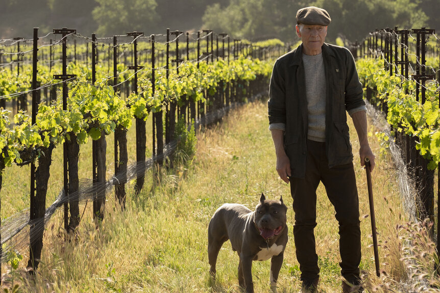 Picard and his dog Number One in Star Trek: Picard