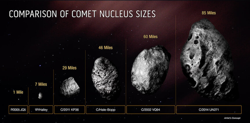 Chart comparing the sizes of various known comets.