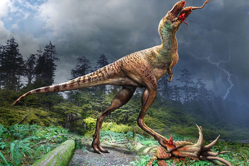 Life illustration of a juvenile tyrannosaur consuming the prey animal Citipes with dark clouds in the background.
