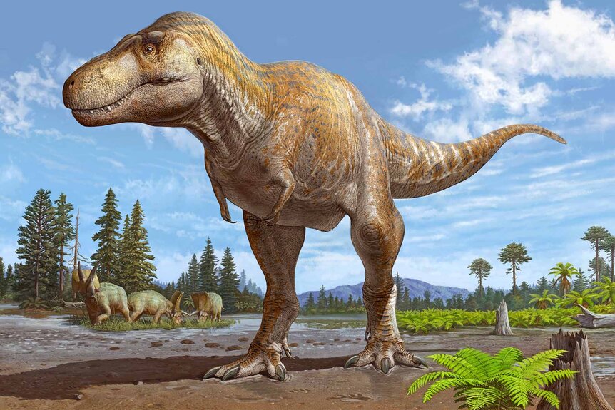 A life illustration reconstruction of a Tyrannosaurus mcraeensis