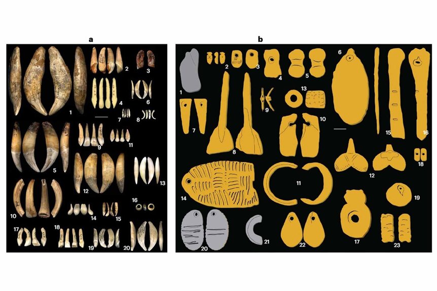 A layout of ornaments found at Gravettian sites.