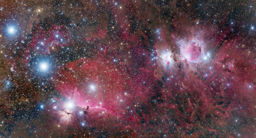 Orion’s nether regions, from his belt (left) to his knees or so. This whole area of the sky is filled with gas, dust, and lots and lots of stars. Credit: Adam Block/Steward Observatory/University of Arizona