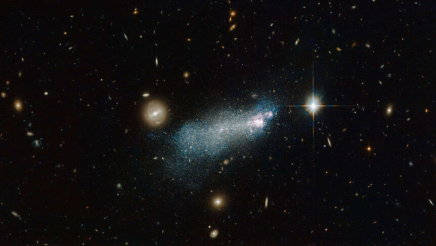 Dwarf galaxy PGC 51017