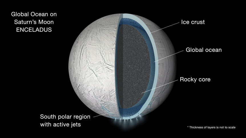 Diagram showing the interior of Enceladus. A rocky core is surrounded by a liquid water ocean, and then an icy crust. Water erupts from geysers at the south pole. Credit: NASA/JPL-Caltech