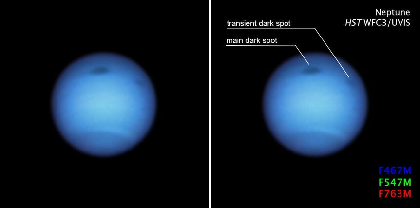 A Hubble image taken in January 2020 (left; annotated on right) shows a large dark spot on Neptune and a smaller one that may have spun off of it. The colored numbers represent Hubble filters used to make this three-color image. Credit: NASA / ESA / STScI
