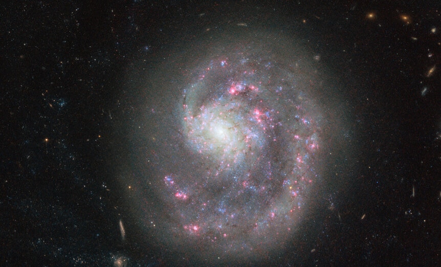 NGC 4625, a relatively nearby dwarf spiral galaxy with an asymmetric spiral structure. Credit: ESA/Hubble &amp; NASA
