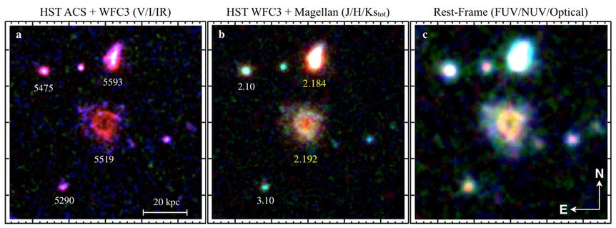 Hubble observations of the extremely distant ring galaxy R5519 show it in visible and near-infrared light (left), infrared (middle, with additional image from the Magellan telescope), and also in ultraviolet and visible light (right) which is an indicator