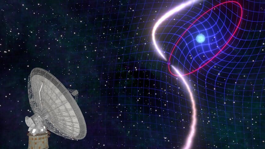 Artwork depicting the Australian Parkes radio telescope observing a pulsar (small purple sphere emitting beams of energy) in a binary orbit with a white dwarf (larger blue sphere). As the white dwarf spins, it drags spacetime around it