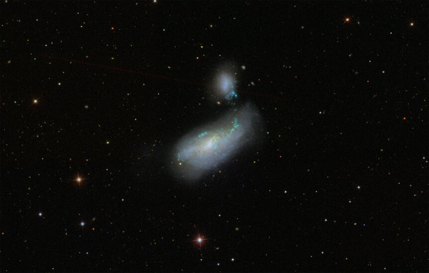 The pair of galaxies NGC 4485 (top) and NGC 4490 (bottom) are interacting, causing their shapes to distort and triggering huge amounts of star formation. Credit: SDSS/ALADIN 