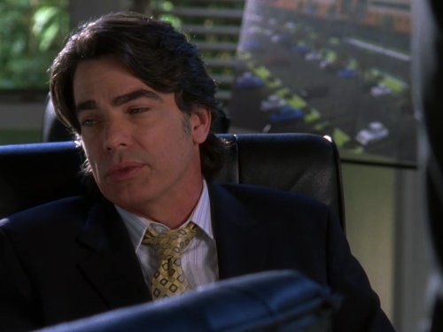 the oc peter gallagher eyebrows