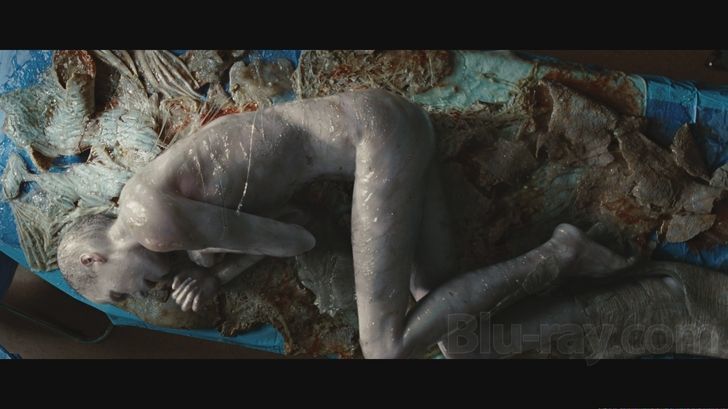 Placenta_Klaatu_TDTESS
