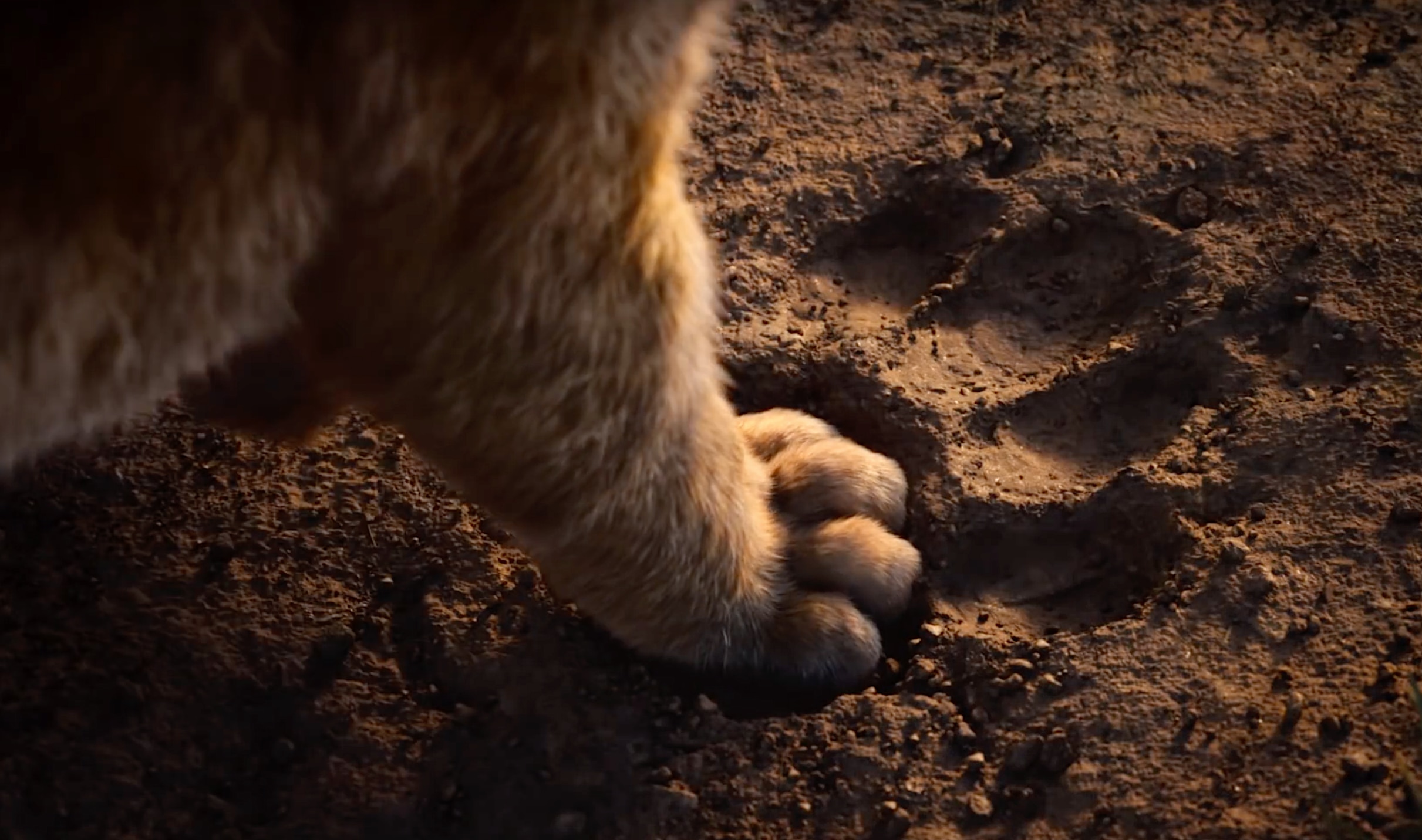 The Lion King remake Simba Paw via Disney YouTube 2019