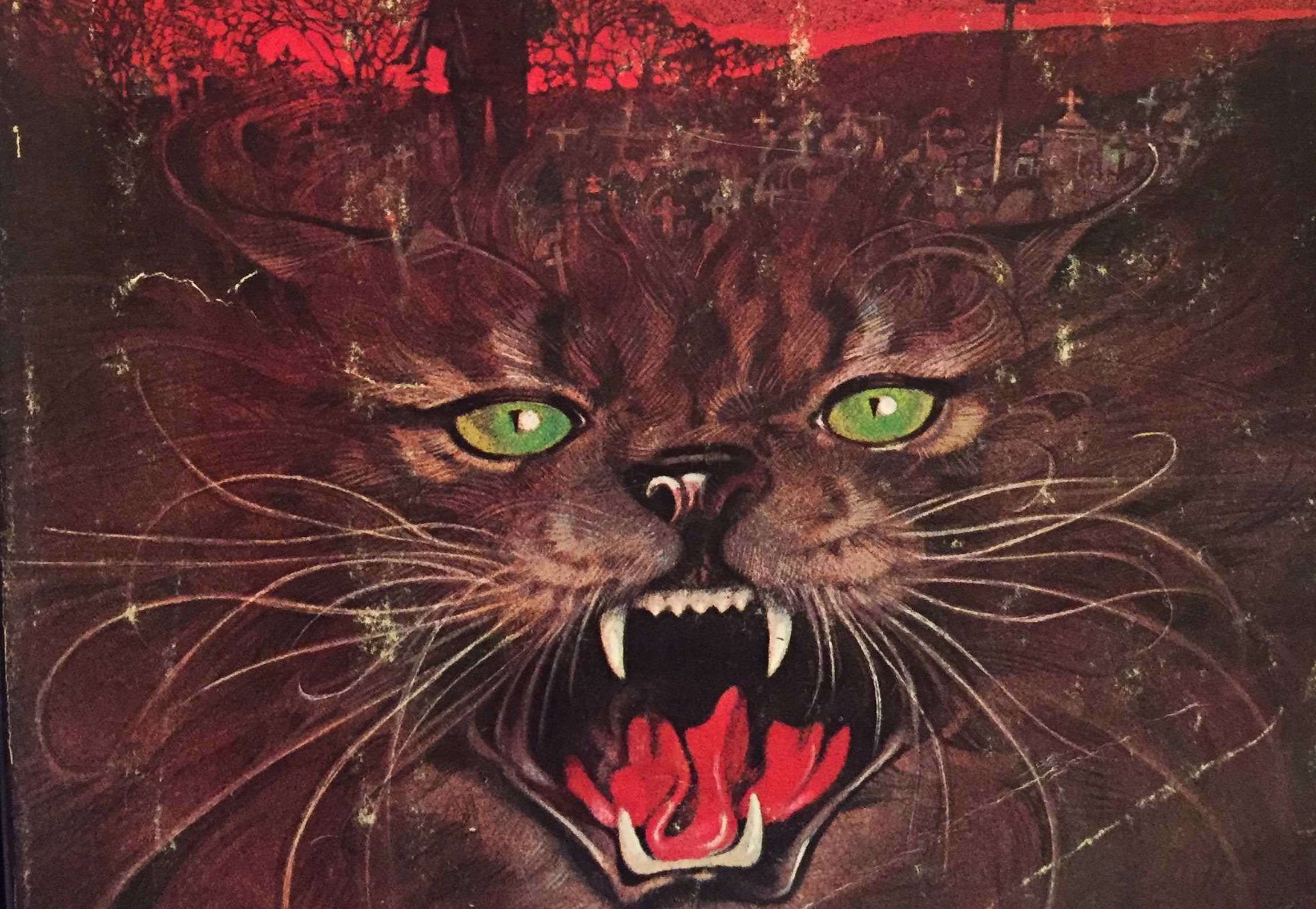 Pet Sematary 1983 cover