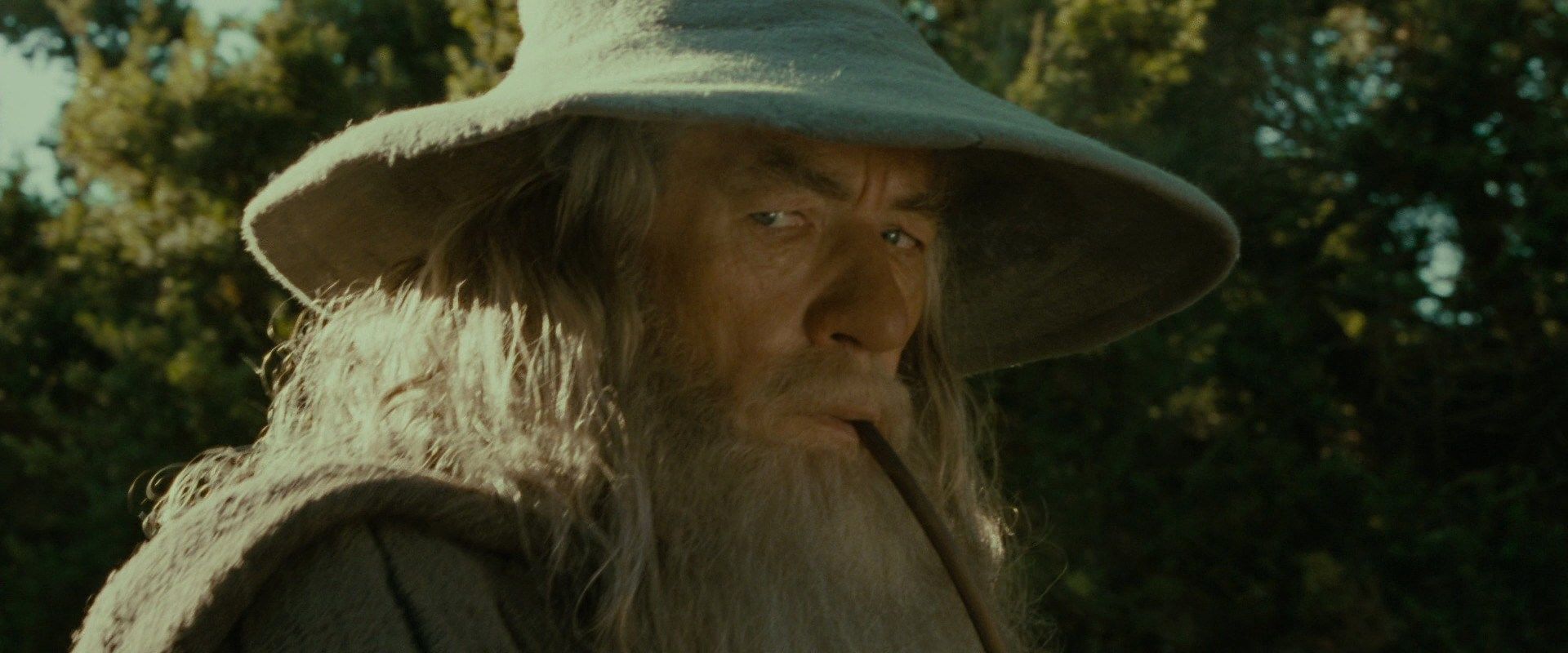 lord of the rings fellowship of the ring gandalf