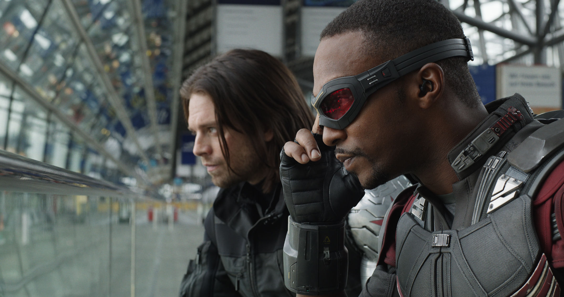 The Winter Soldier and Falcon