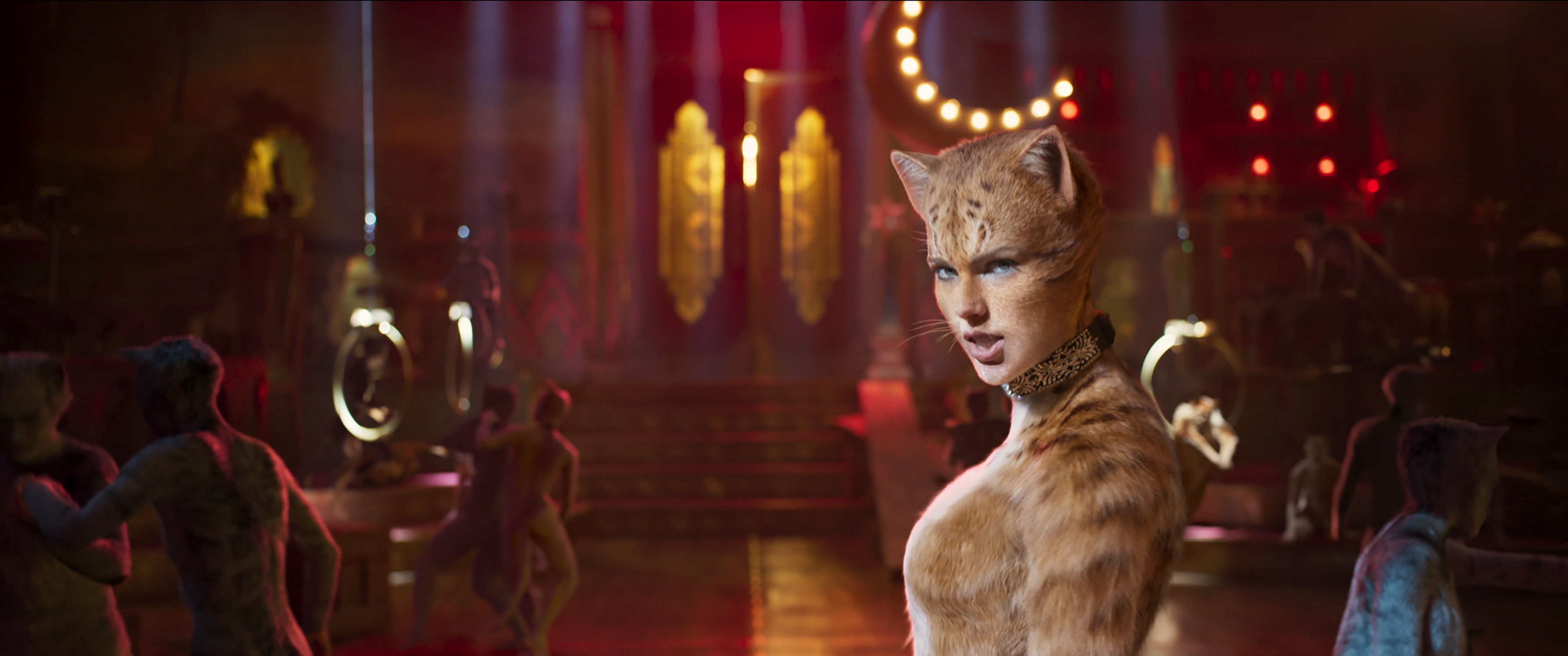 taylor swift in cats