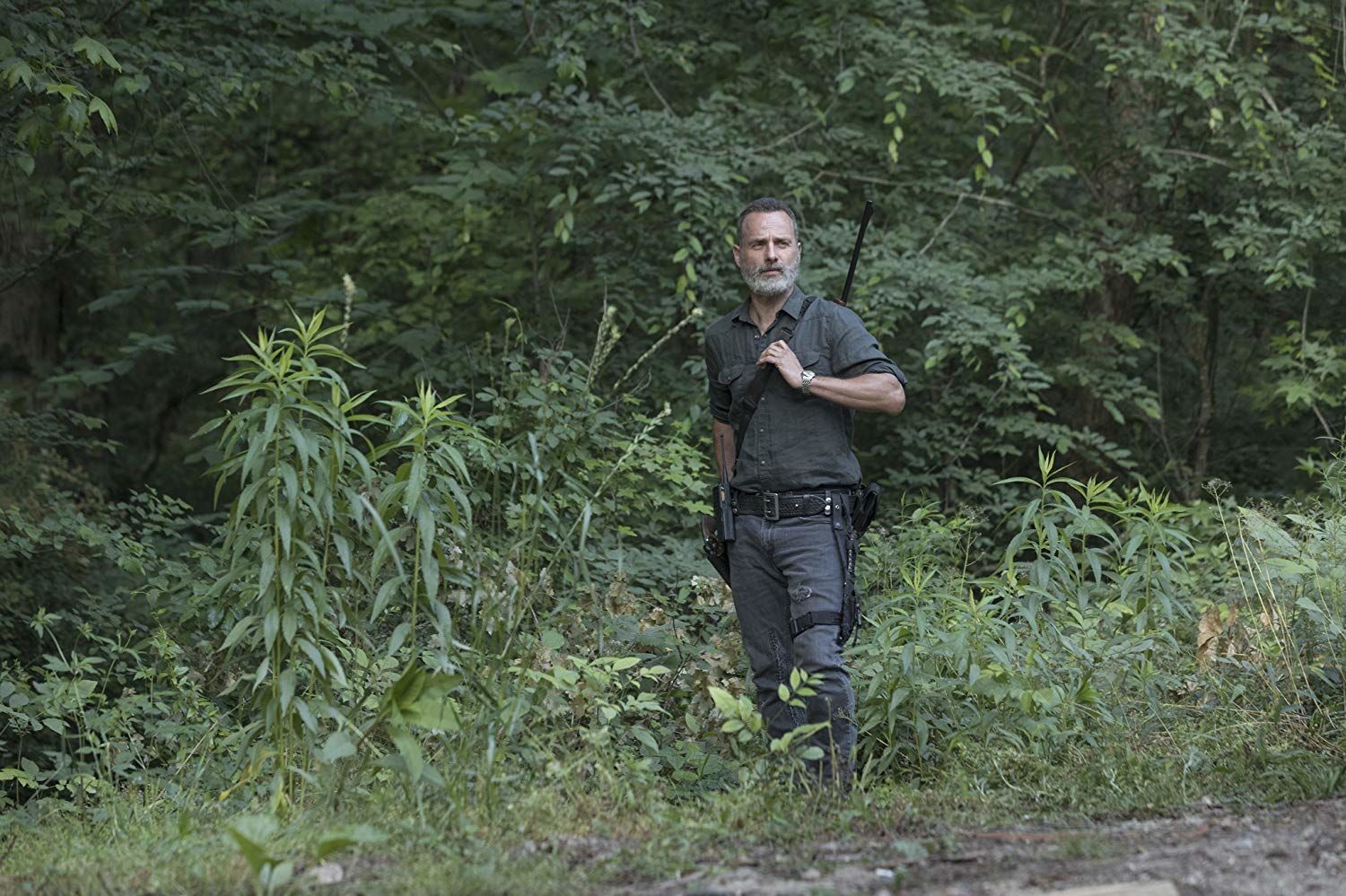 Andrew Lincoln The Walking Dead