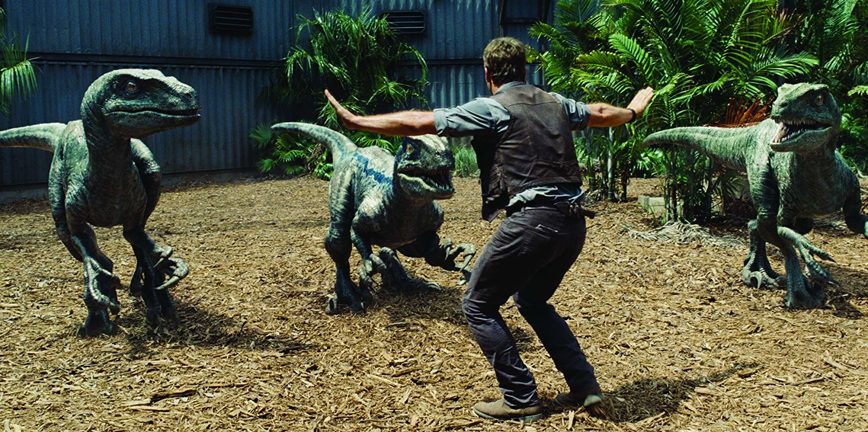 Chris Pratt and Raptors