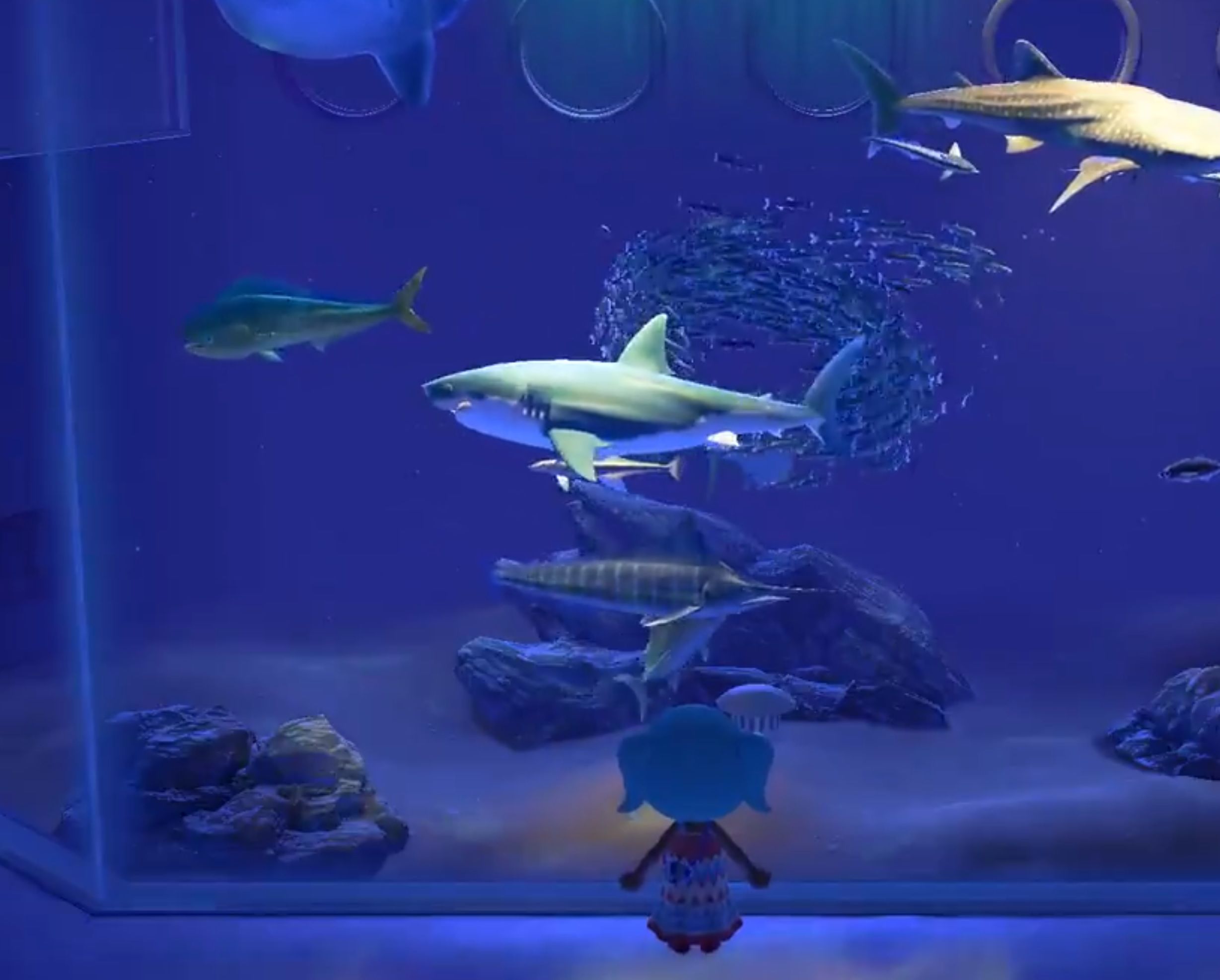 Animal Crossing aquarium