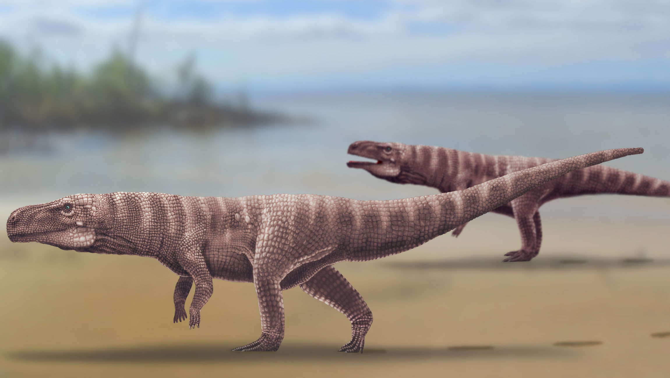 Prehistoric crocodile ancestors left tracks suggesting they walked on two  legs | SYFY WIRE
