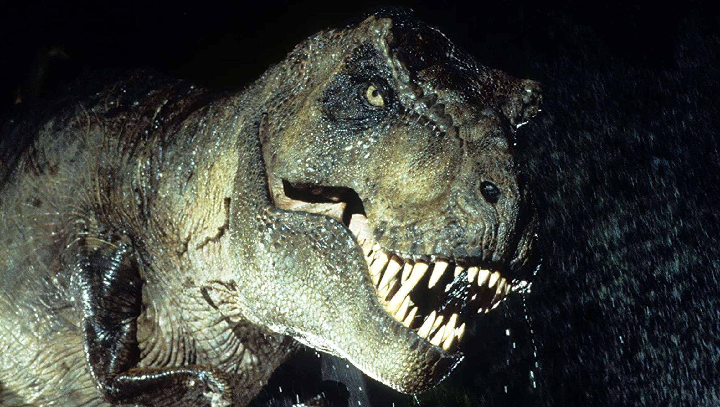 T. Rex from Jurassic Park