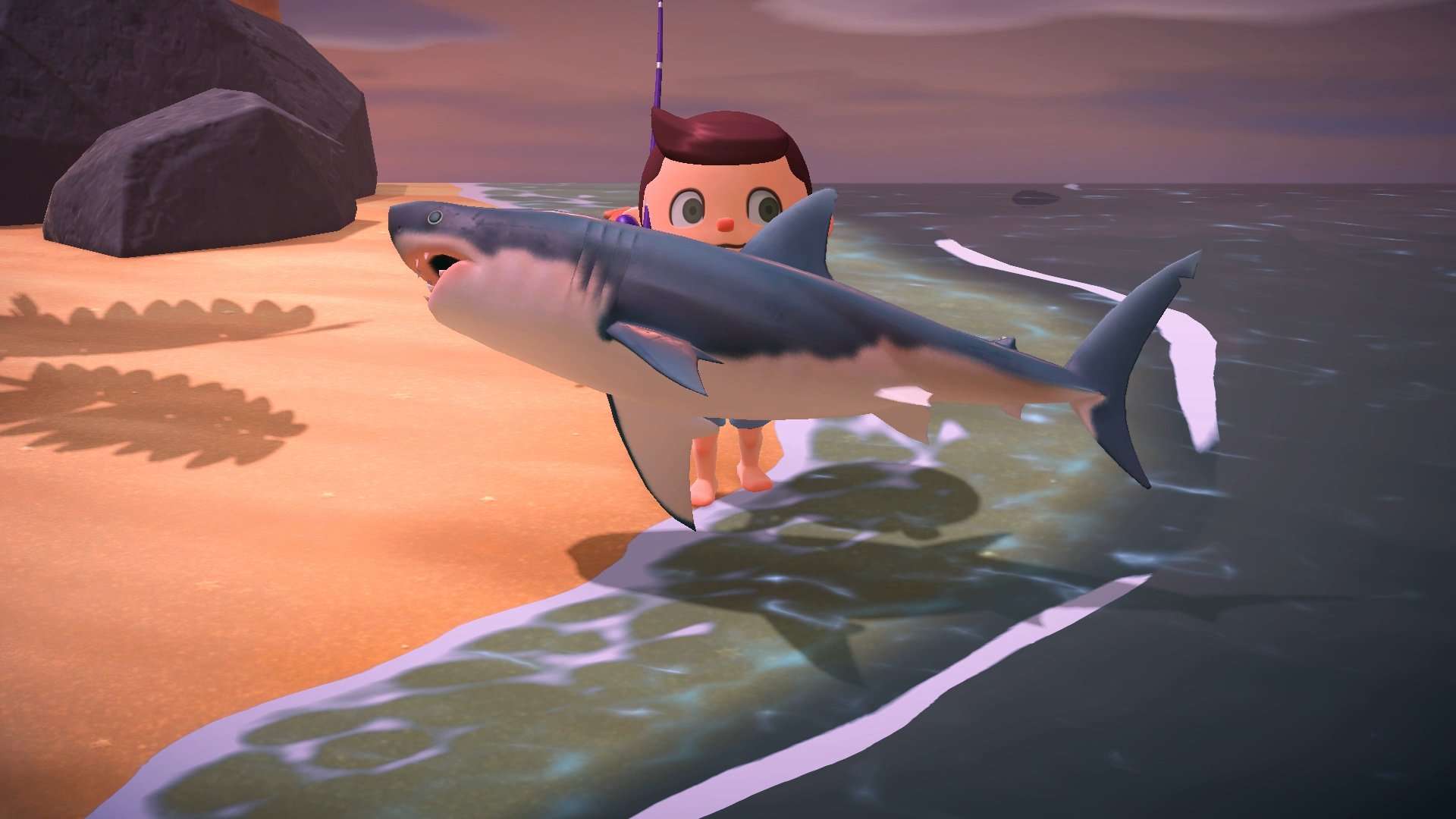 Animal Crossing: New Horizons' great white sharks are aquariums' 'Holy  Grail' | SYFY WIRE