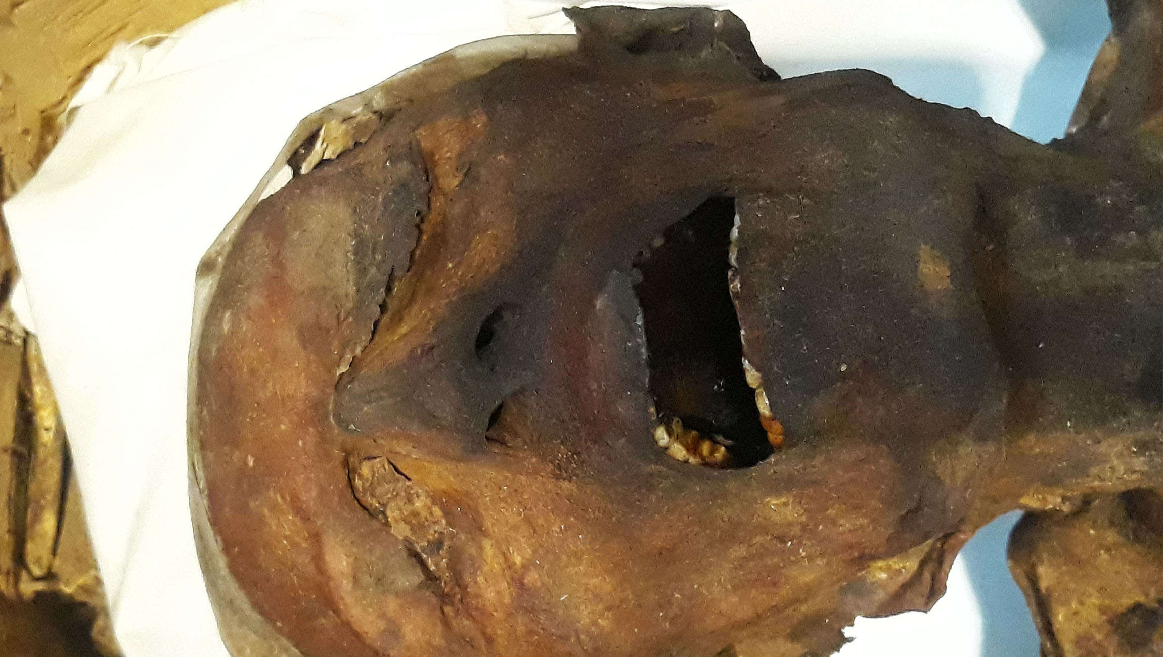 why are female mummies more decomposed