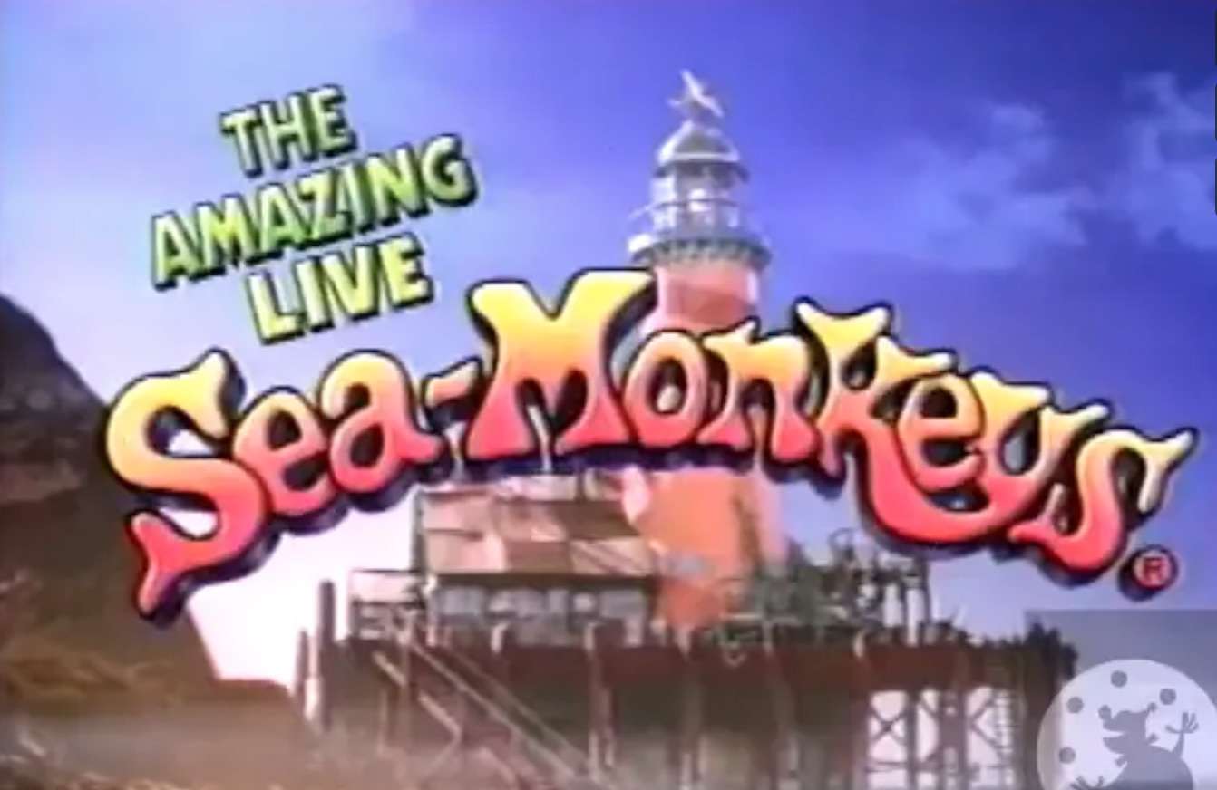 amazing-live-sea-monkeys